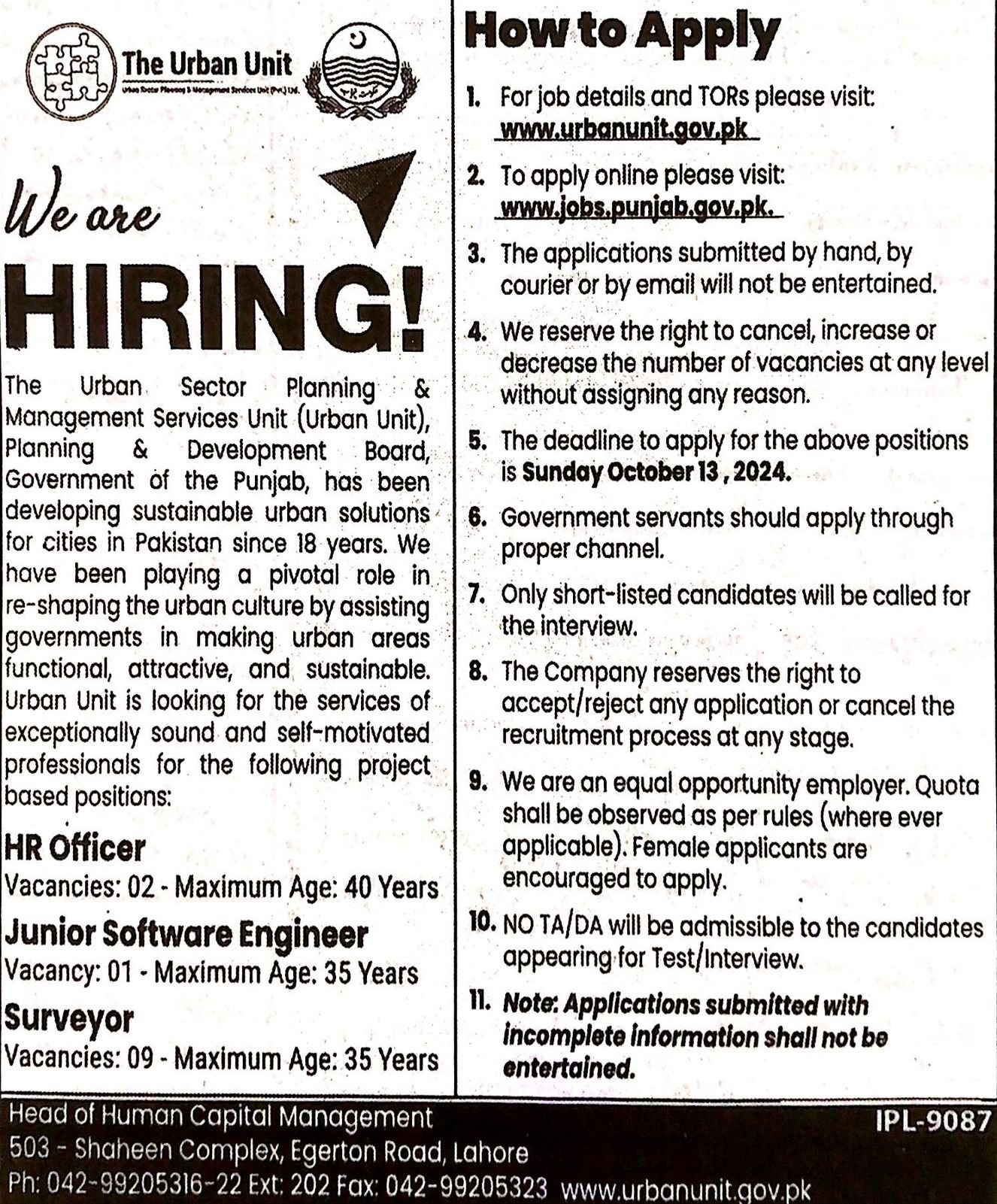 Junior Software Engineer 